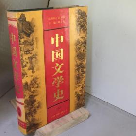 中國(guó)文學(xué)史.6