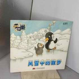 风雪中的散步