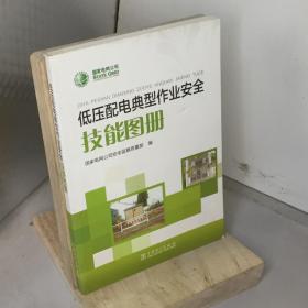 低压配电典型作业安全技能图册