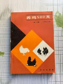 养鸡500天