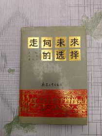 走向未来的选择