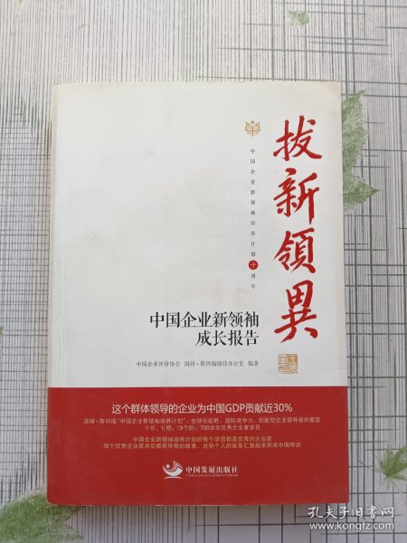 拔新领异 中国企业新领袖成长报告