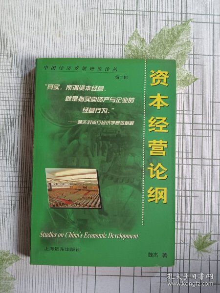 资本经营论纲〔中国经济发展研究论丛第二辑〕