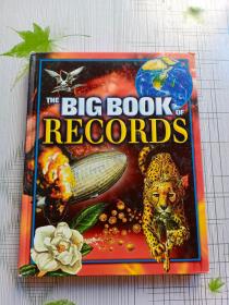 THE BIG BOOK OF RECORDS