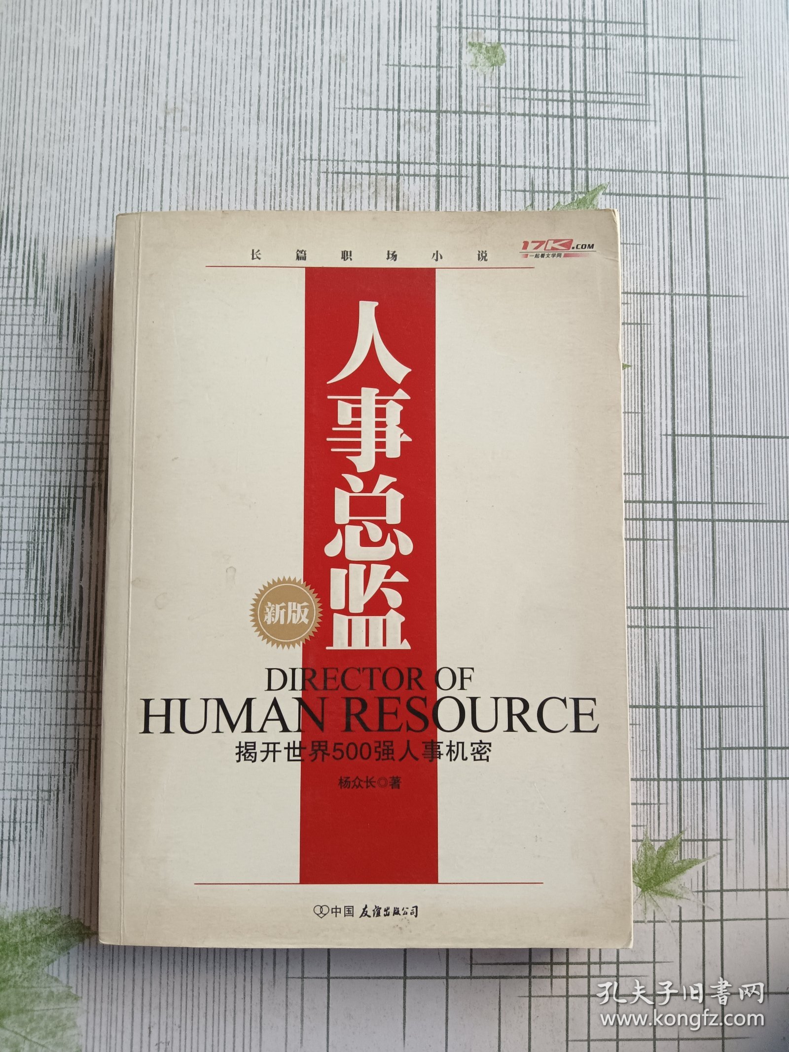 人事总监 揭开世界500强人事机密