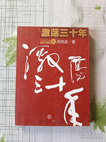 激荡三十年（上）：中国企业1978-2008