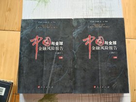 中国与全球金融风险报告（2011）（上下）