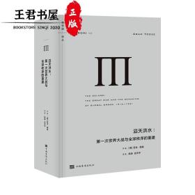 理想国译丛045：滔天洪水-第一次世界大战与全球秩序的重建