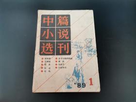 《中篇小说选刊》  1989年第1期。当您浏览了本刊的目录后故事便随即开始。