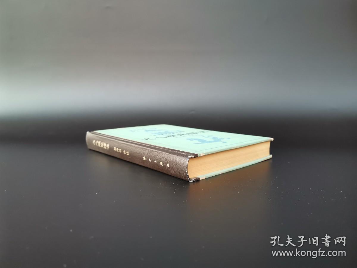 文心雕龙译注 （精装版）