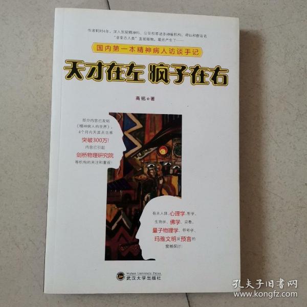 天才在左 疯子在右：国内第一本精神病人访谈手记