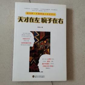 天才在左 疯子在右：国内第一本精神病人访谈手记