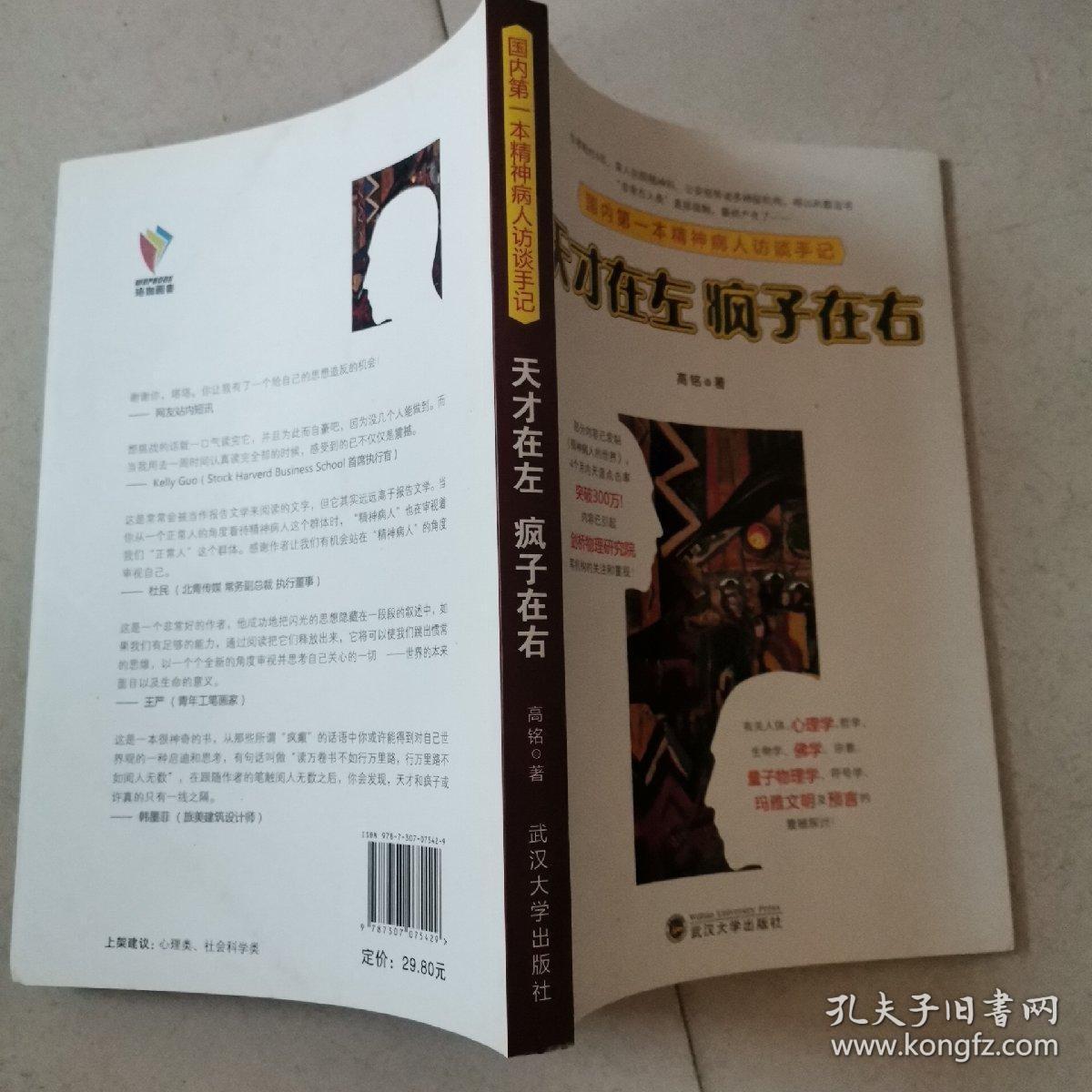 天才在左 疯子在右：国内第一本精神病人访谈手记