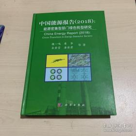 中国能源报告 2018：能源密集型部门绿色转型研究 正版