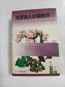 才子佳人小说集成   1-5卷