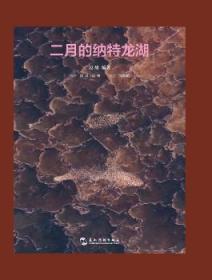 全新现货 二月的纳特龙湖9787508536767 边缘五洲传播出版社摄影集中国现代