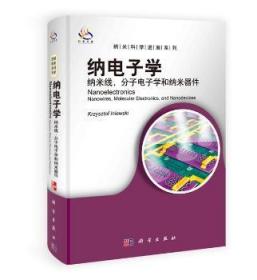 纳米科学进展系列·纳电子学：纳米线 分子电子学及纳米器件