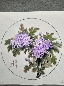 sc057号国画写意花卉 菊花 70×70cm 作者：王秀娟,笔名岫涓，生于1947年，浙江绍兴人。现为中国工艺美术家协会会员，中国老年书画学会会员，中书协西部教育基地书画家协会会员，平凉陇东书画研究院副院长，宁夏泾水国画研究院副院长，平凉市女书画家协会名誉会长。