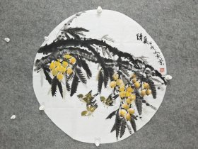 sc153号国画写意花卉枇杷 清夏 68×68cm 作者：刘素兰，女，1936年2月出生，籍贯山东省沂水县。原阜新矿务局高级工程师。从2003年至今在阜新市老年人大学学习国画。现为全国省市老年书画研究会会员，中国老年书画学会理事。入编中国老年书画家名录（2012年14年版）