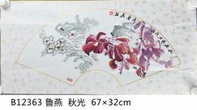 B12363号国画花草水仙 秋光 67×32cm 作者：鲁燕