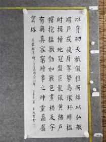 B16160号书法 节临颜真卿 多宝塔碑文 100×50cm 作者：王殿宝 辽宁省营口市鲅鱼圈区 红海街道金海社区 老党员 老战士 四七五军工厂普通退休职工 经常义务为社区百姓教书法并热心参加社区开展的公益服务。  粤《妙法莲华》，诸佛之秘藏也；多宝佛塔，证经之踊现也。发明资乎十力，弘建在于四依。有禅师，法号楚金，姓程，广平人也。祖、父并京著释门，庆归法胤。母高氏，久而无妊，夜梦诸佛，觉而有娠。