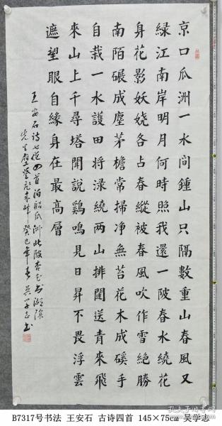 B7317号书法 王安石 古诗四首 145×75cm 作者：吴学志，1936年11月生，广东省汕尾市海丰县人。1950年参加中国人民志愿军。1966年转业，退休前在县广播电视局工作。现为汕尾市书协会员，中国老年书画协会会员《中国书画导报》签约书画家   京口瓜州一水间，钟山只隔数重山。春风又绿江南岸，明月何时照我还。   一陂春水绕花身，花影妖娆各占春。 纵被春风吹作雪，绝胜南陌碾成尘。