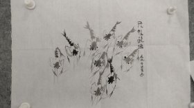 sh126号国画写意鱼虾 九龙献瑞 48×35cm 作者：郭忠友 艺名纳川 诗名晨韵 1935年12月生 浙江省 东阳市人 原东阳市老年体协副主席 东阳郭氏文化研究会会长 石洞诗书画院名誉院长 中国国家诗书画院副院长，国家创作协会副主席，十佳艺术标兵