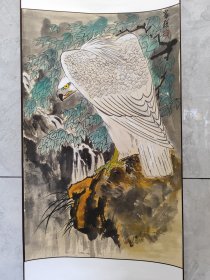 2125号卷轴国画写意花鸟老鹰 苍鹰图 画心69×43cm 作者：杨家聪 家聪 杨家聪，1932年生於广西，祖籍广东三水，原广州市文联专职副主席、省美协理事、市美协主席。现为市美协名誉主席、中国工艺美术家协会会员、广州市文史研究馆馆员、广州诗社副社长。以擅画雄鹰和水乡著称。