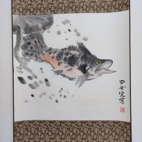 509号卷轴国画写意鱼 鳜鱼 画心49×45cm 作者：田世光 冯凭展公藏