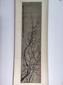 1129号卷轴国画写意梅花白梅 墨梅图 画心尺寸34×135.5cm 作者：金农 乾隆己卯秋八月既望 七十三叟杭郡金农