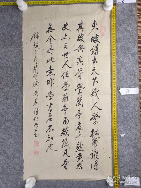 B18203号书法 赵子昂 《兰亭十三跋》 66×33cm 作者：尚学亮 笔名尚学 1938年8月出生于河南临颍，本科文化，临颍县第一高级中学高级教师。中国硬笔书法协会，上海中华书法协会。中华书法协会常务理事、中国书画家协会理事和一级书法师  （第九跋）东坡诗云：“天下几人学杜甫，谁得其皮与其骨。”学兰亭者亦然。黄太史亦云：“世人但学兰亭面，欲换凡骨无金丹。”此意非学书者不知也。十月一日。