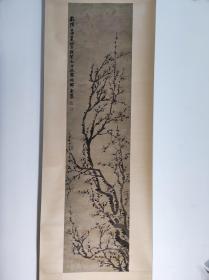 1127号卷轴国画写意花卉梅花 墨梅 画心尺寸33.5×137cm 作者：金农 乾隆己卯夏四月既望七十三叟杭郡金农