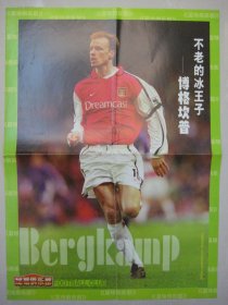 足球俱乐部海报 2002年博格坎普/范尼斯特鲁伊