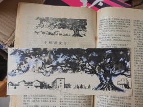 许康铭 插图2幅（《芙蓉》1980年第4期）