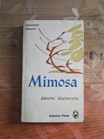 Mimosa【ZHANG XIANLIANG】：绿化树（法文）