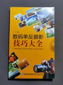 数码单反摄影技巧大全 11年一版一印 好品！