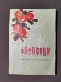 苹果整形修剪图解 79年一版一印