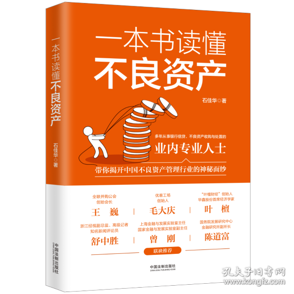 一本书读懂不良资产（王巍、毛大庆、叶檀、舒中胜、曾刚、陈道富联合推荐）