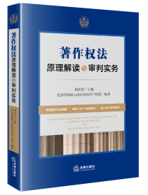 著作权法原理解读与审判实务