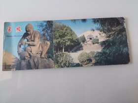 半坡明信片