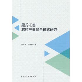 黑龙江省农村产业融合模式研究C64B
