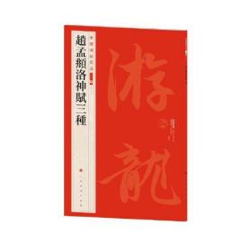 #中国碑帖名品:二编:二十四:杨淮表纪