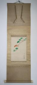日本回流 日本画家 橋月皎 大橋月皎 《松声图》 纸本立轴1