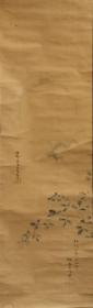 日本回流 日本画家 狩野玉元 贞信  《花草之图》 纸本立轴（054）
