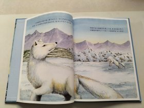 中国原创图画书：冰雪中的生命