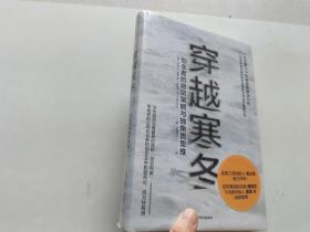 穿越寒冬:《让大象飞》作者的全新破冰力作