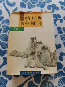 诗词曲名句辞典 精装正版现货 内页无字迹无划线 见实物图