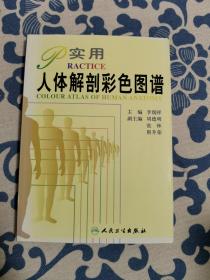 实用人体解剖彩色图谱 正版现货 内页无字迹无划线 见实物图