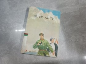 武陵山下 上册