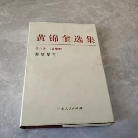 黄锦奎选集（第六卷） 文学卷
